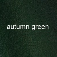 Farbe_autumn-green_fiore_glossy