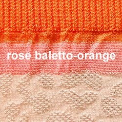Farbe_rose-baletto-orange_fiore_G1142