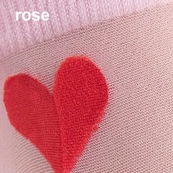 Farbe_rose_fiore_G1191